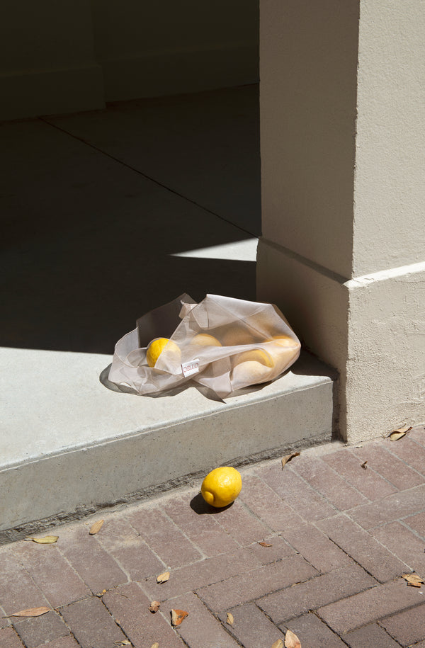translucent silk bag - sandstone