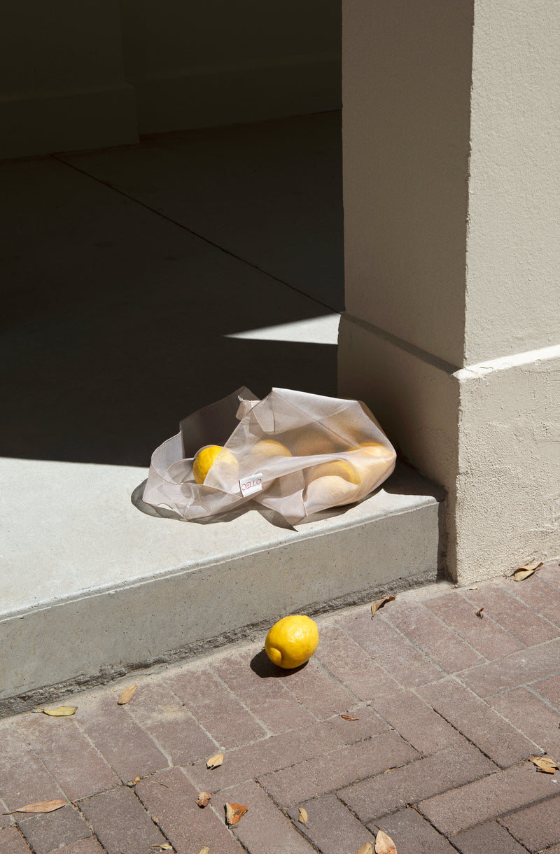 translucent silk bag - sandstone